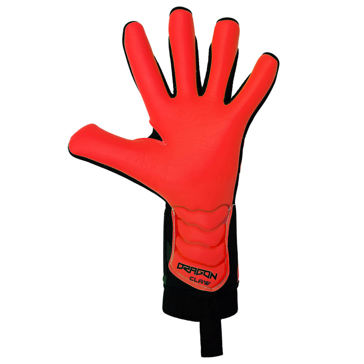 GRIFFE ROUGE DU DRAGON